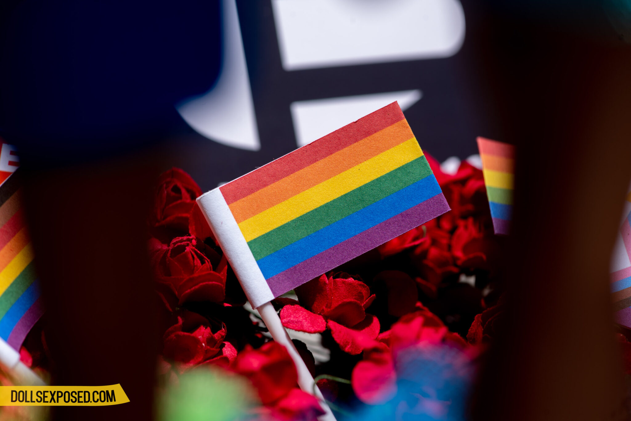 A Brief History of the Rainbow Flag (National Flag Day) DOLLSEXPOSED